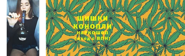 соль ск Няндома