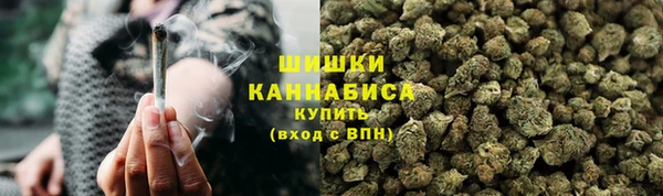ГАЛЛЮЦИНОГЕННЫЕ ГРИБЫ Нязепетровск